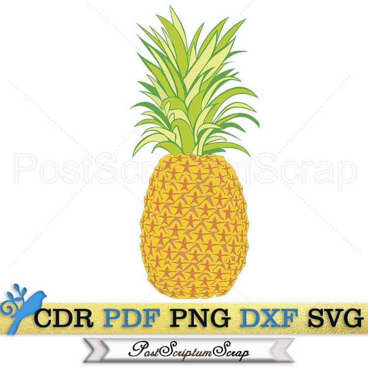 Ananas svg clipart