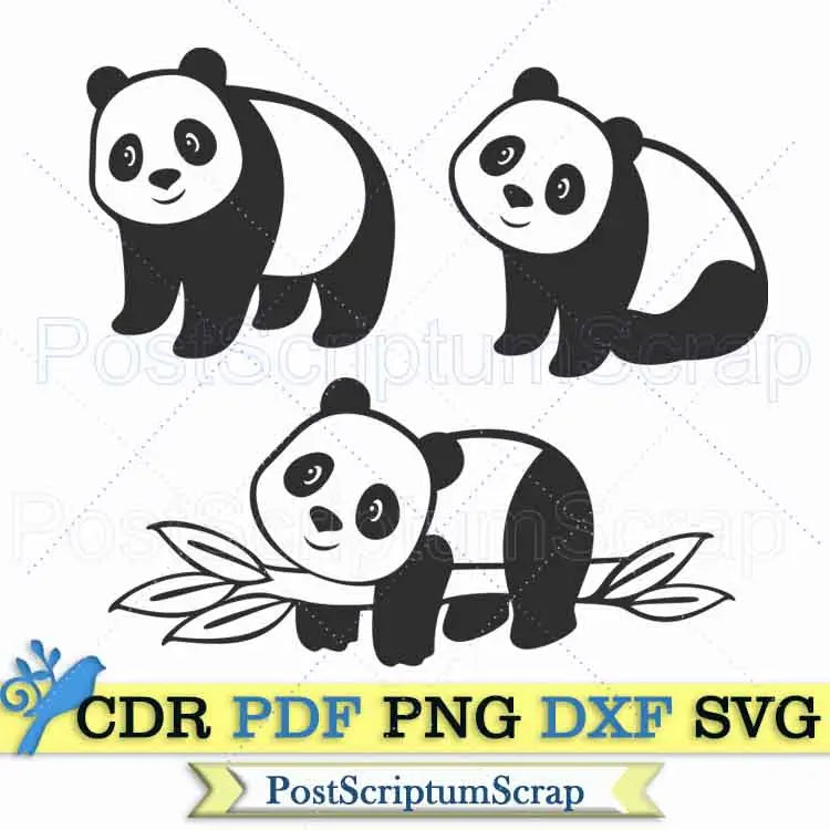 Baby panda svg face clipart png bear cute baby animal party PostScriptum Scrap