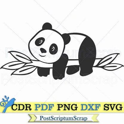 Baby panda svg face clipart png bear cute baby animal party PostScriptum Scrap