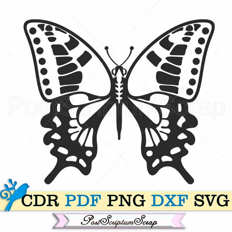 Monarch svg butterfly clipart png