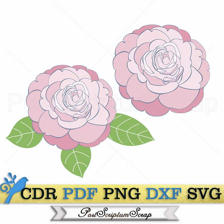 Camellia svg vector flower