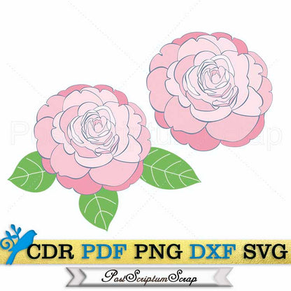 Camellia svg vector flower