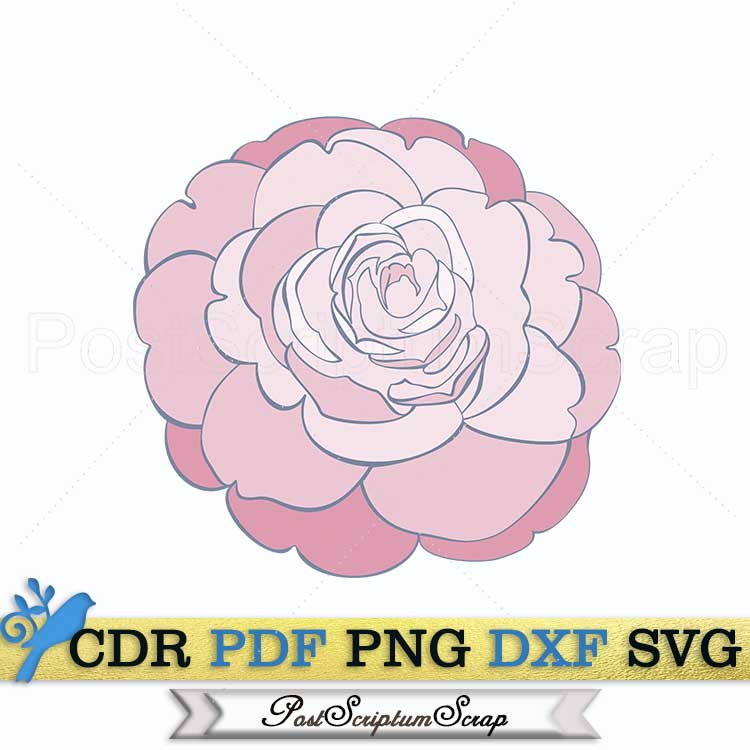 Camellia svg vector flower