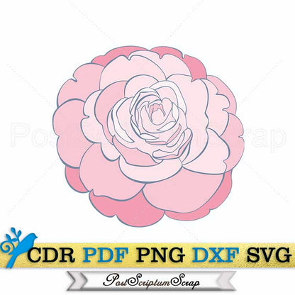 Camellia svg vector flower