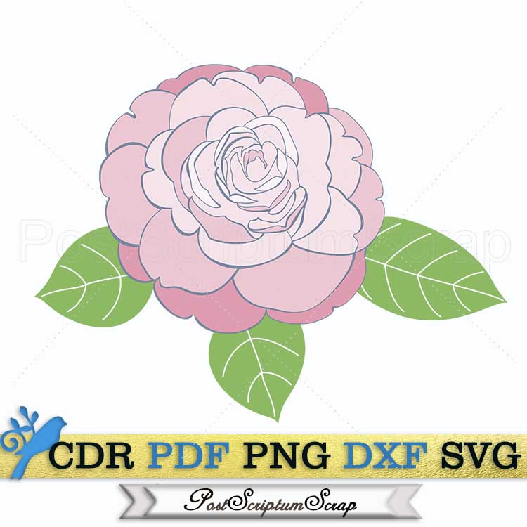 Camellia svg vector flower