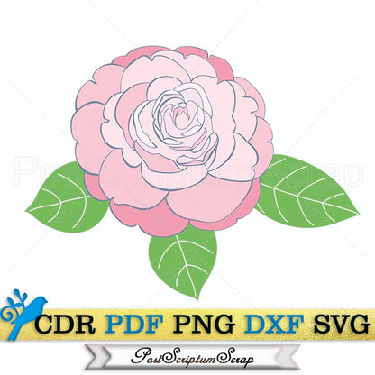 Camellia svg vector flower