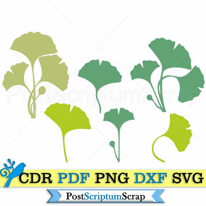 Ginko biloba svg leaves