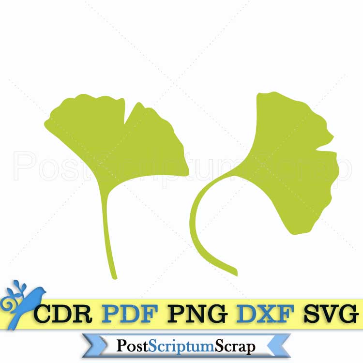 Ginko biloba svg leaves