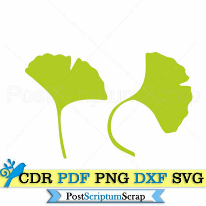 Ginko biloba svg leaves