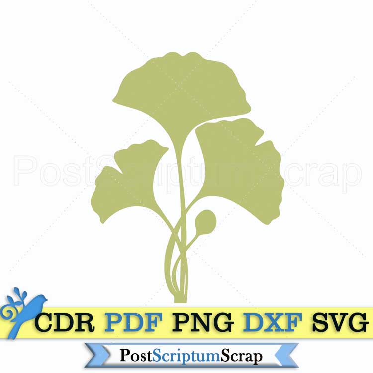 Ginko biloba svg leaves