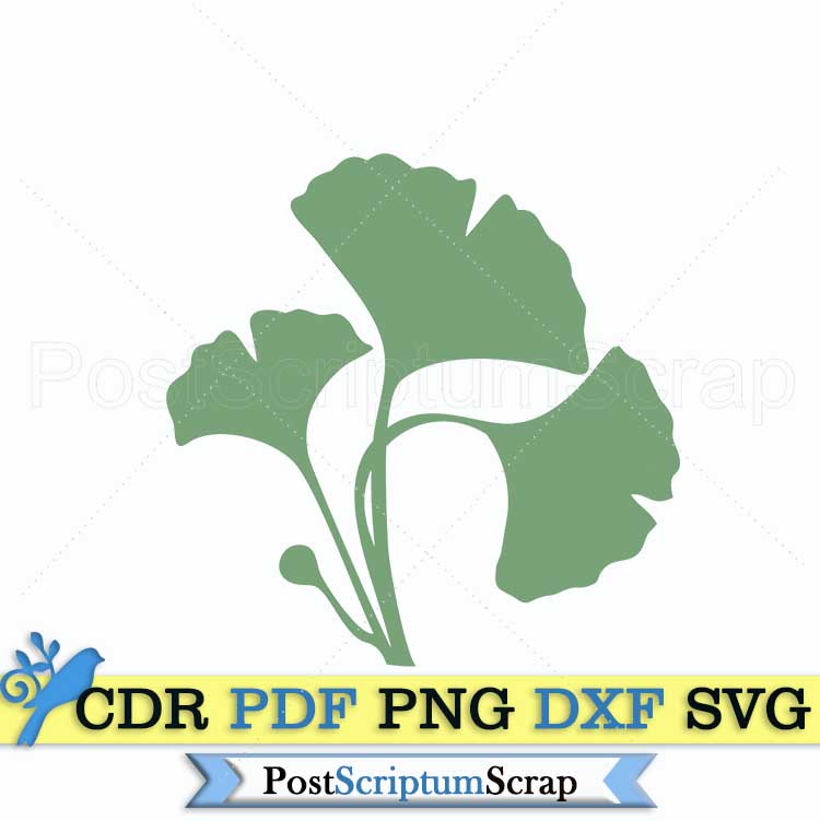 Ginko biloba svg leaves