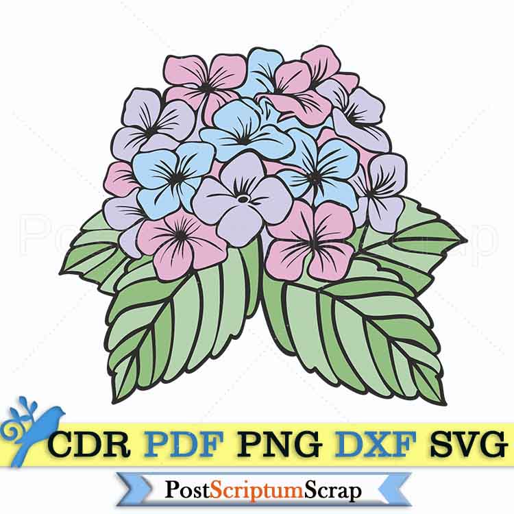 Hydrangea svg flower clipart