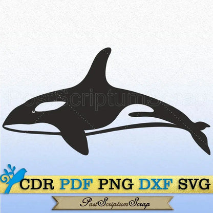 Killer whale svg clipart animal ocean silhouette sea creatures vector cute PostScriptum Scrap