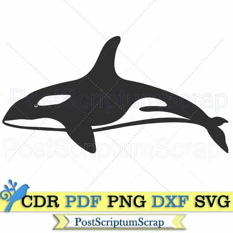 Killer whale svg clipart animal ocean silhouette sea creatures vector cute PostScriptum Scrap