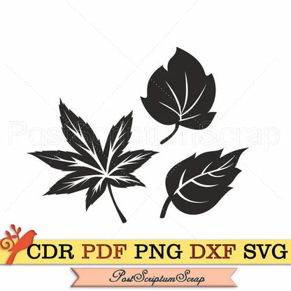 Leaves svg Autumn clipart nature png plant PostScriptum Scrap