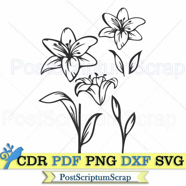 Lily bouquet svg flower clipart  botanical png easter PostScriptum Scrap