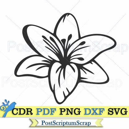 Lily bouquet svg flower clipart  botanical png easter PostScriptum Scrap