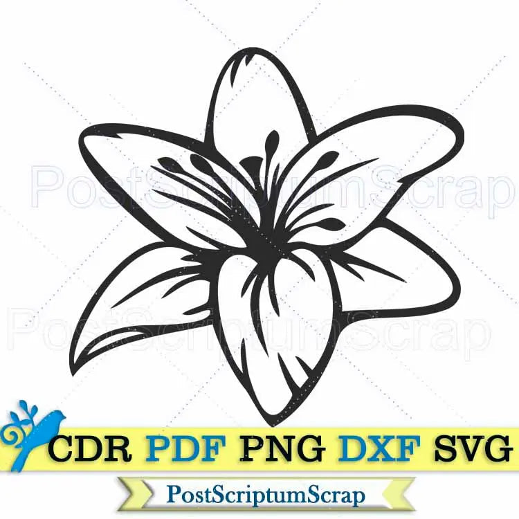 Lily bouquet svg flower clipart  botanical png easter PostScriptum Scrap