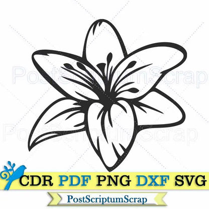 Lily bouquet svg flower clipart  botanical png easter PostScriptum Scrap