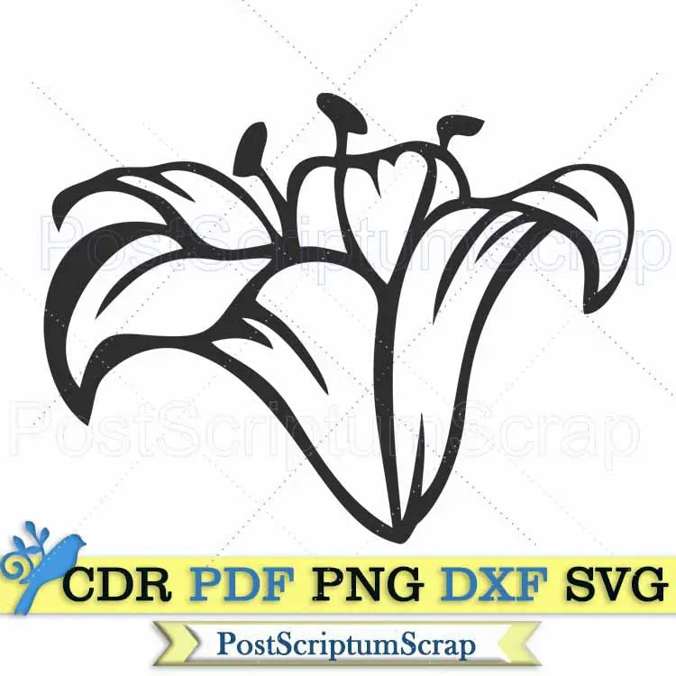 Lily bouquet svg flower clipart  botanical png easter PostScriptum Scrap