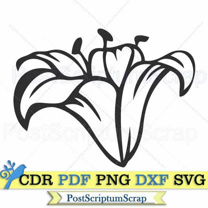 Lily bouquet svg flower clipart  botanical png easter PostScriptum Scrap