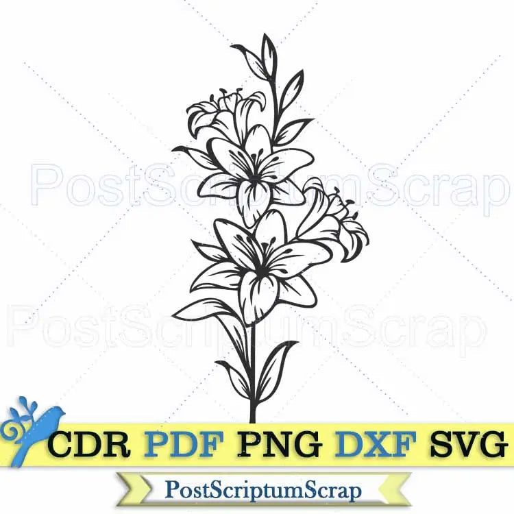 Lily flower svg clipart bouquet botanical png easter PostScriptum Scrap