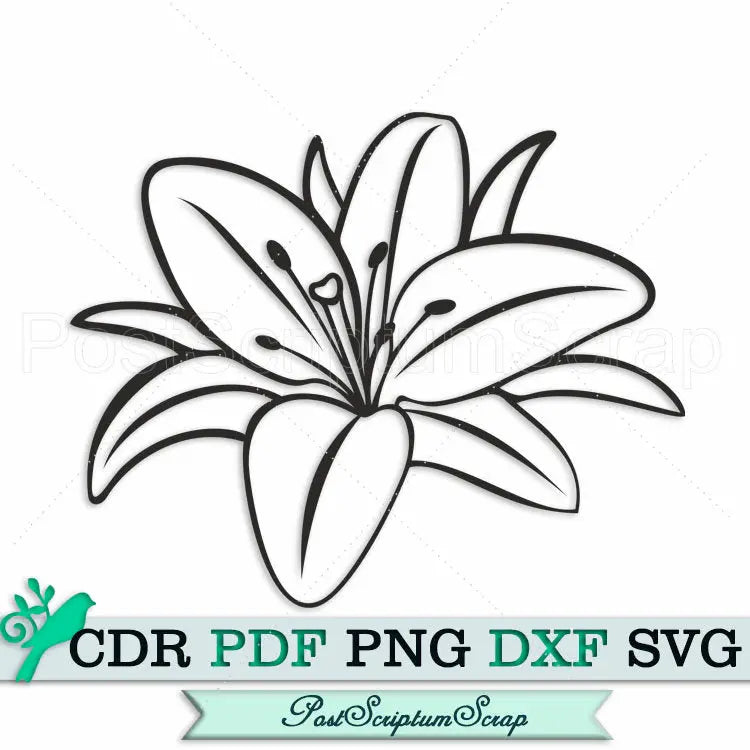 Lily svg flower clipart files for cricut silhouette botanical PostScriptum Scrap