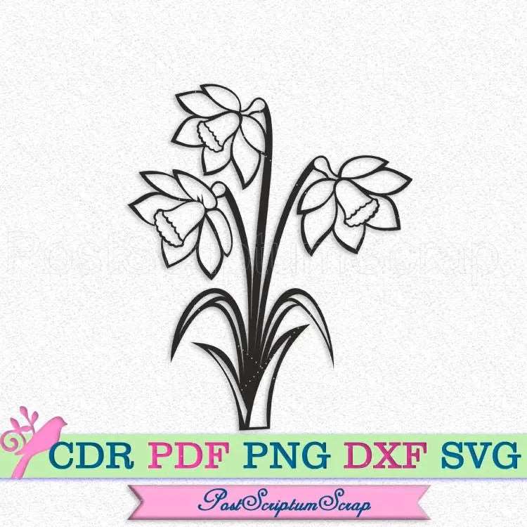 Narcissus svg flower botanical spring design garden clipart silhouette PostScriptum Scrap