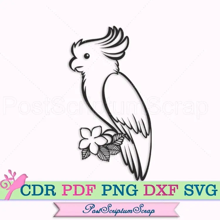 Parrot bird svg clipart tropical summer illustrations cute flowers animal silhouette PostScriptum Scrap