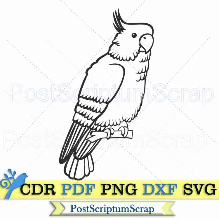 Parrot svg tropical bird clipart summer cute silhouette PostScriptum Scrap