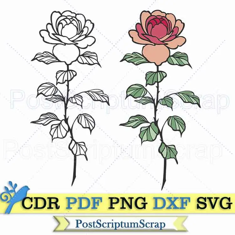 Roses svg clipart vector png cut file botanical PostScriptum Scrap