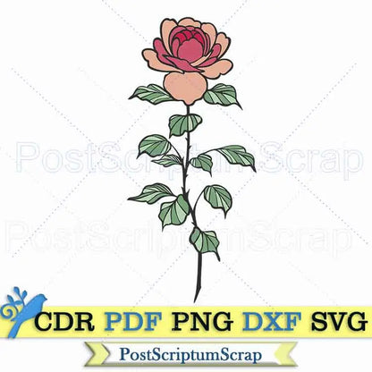 Roses svg clipart vector png cut file botanical PostScriptum Scrap