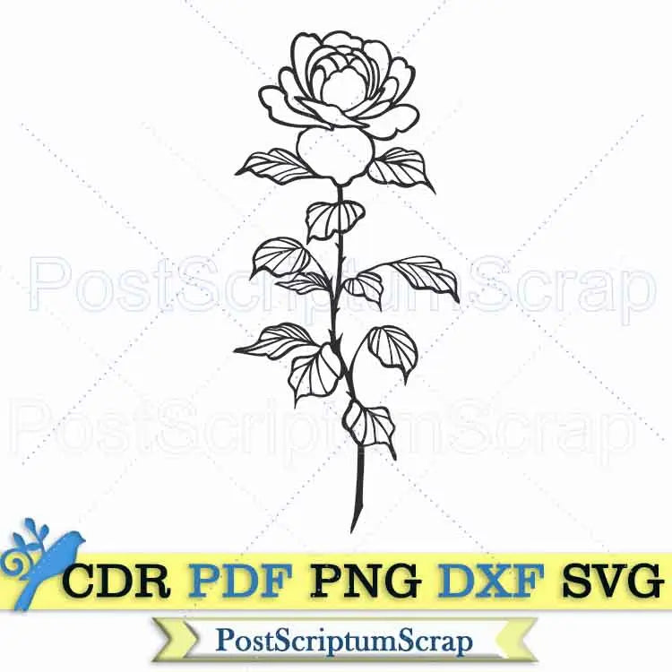 Roses svg clipart vector png cut file botanical PostScriptum Scrap