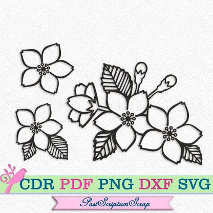 Sakura blossoms svg botanical clipart cherry floral spring garden PostScriptum Scrap