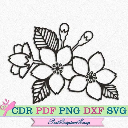 Sakura blossoms svg botanical clipart cherry floral spring garden PostScriptum Scrap