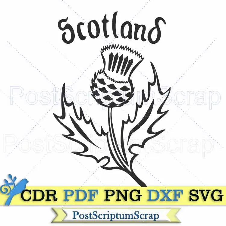 Scottish thistle svg clipart celtic ornament vector scotland design flower silhouette PostScriptum Scrap