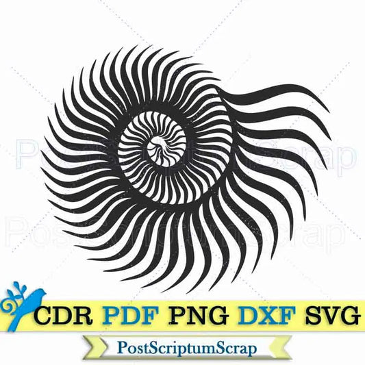 Sea shell svg clipart beach PostScriptum Scrap