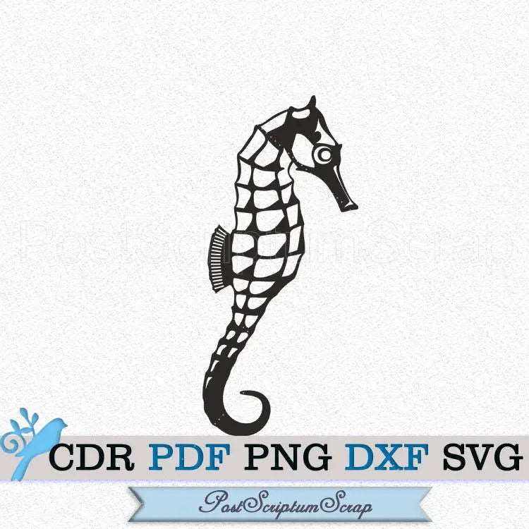 Seahorse ocean svg clipart beach life print nautical animal fish cricut designs silhouette marine PostScriptum Scrap