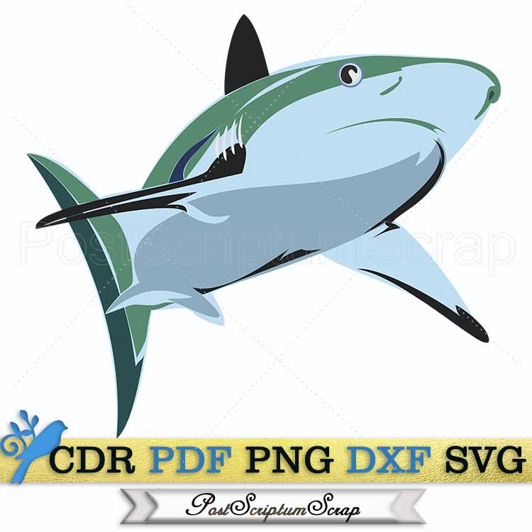 Shark svg clipart