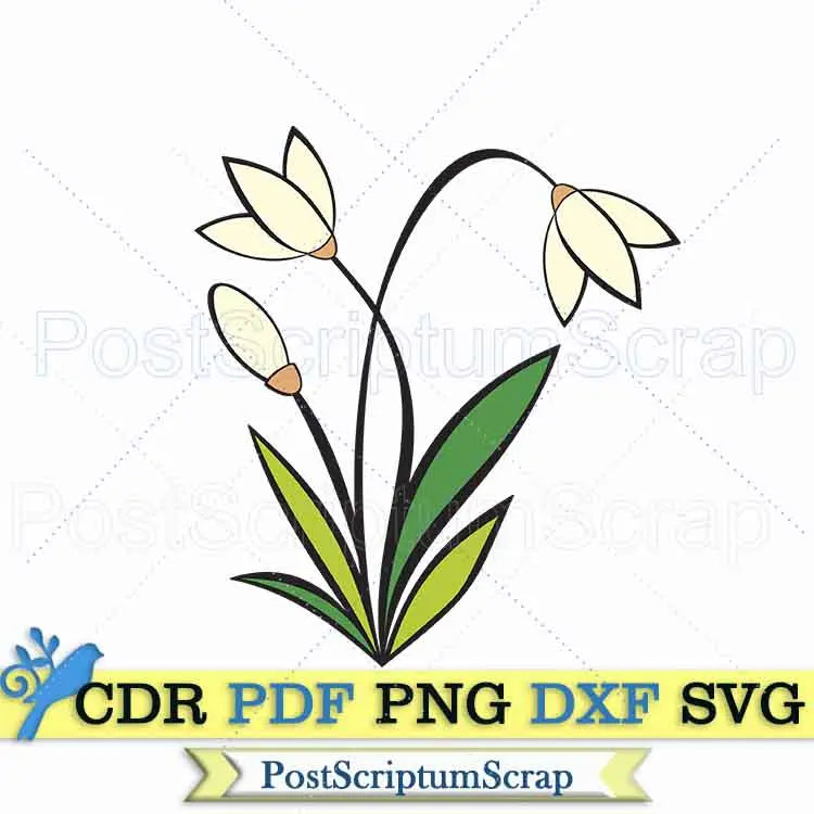 Snowdrop flower svg bouquet botanical spring PostScriptum Scrap