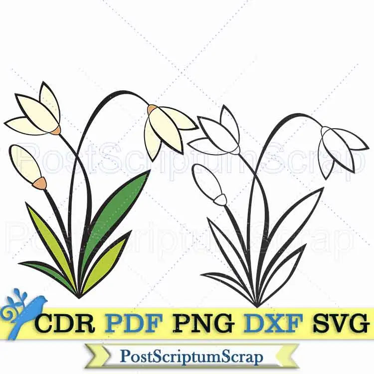 Snowdrop flower svg bouquet botanical spring PostScriptum Scrap