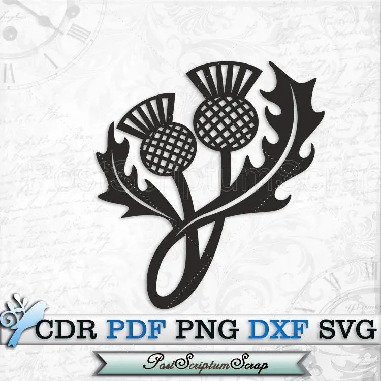 Thistle svg clipart scottish vector design ornament PostScriptum Scrap