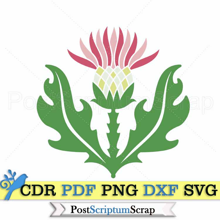 Thistle svg clipart scottish design flower silhouette