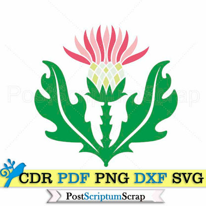 Thistle svg clipart scottish design flower silhouette