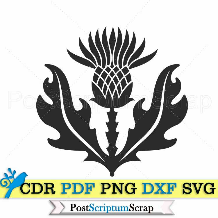 Thistle svg clipart scottish design flower silhouette