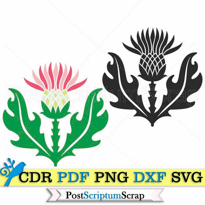 Thistle svg clipart scottish design flower silhouette