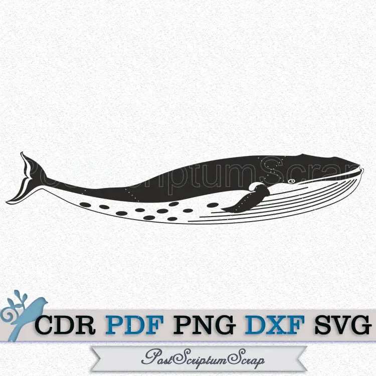 Whale svg sea animals ocean beach life nautical print PostScriptum Scrap