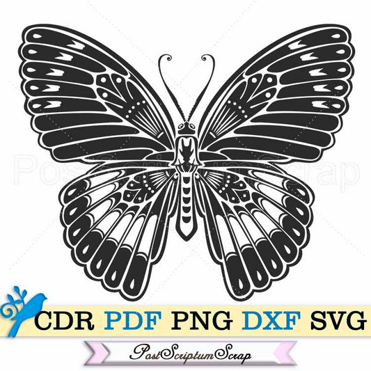 Butterfly svg art nouveau clipart