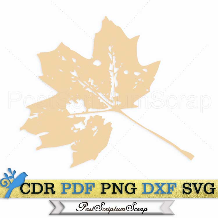 Monotype svg autumn leaves