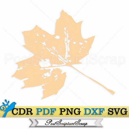 Monotype svg autumn leaves